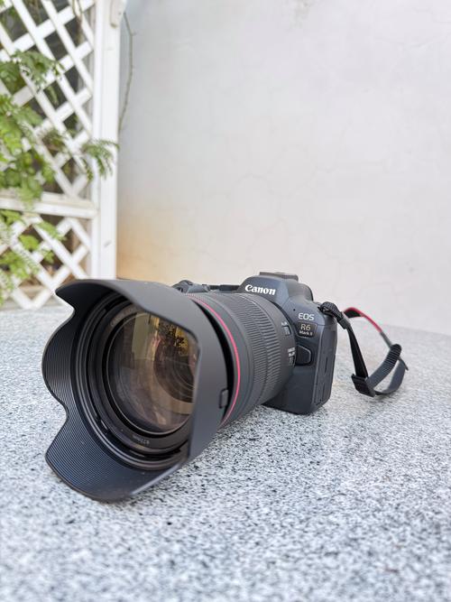 佳能 EOS R6 Mark II vs 索尼 A7 IV：全画幅水桶机之争