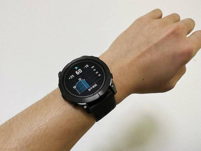 Garmin epix Pro 高端运动手表：双频多星定位精准度测试