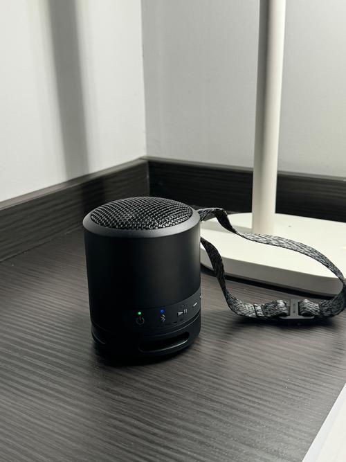 索尼 SRS-RA3000：360 空间音效在家就能听演唱会？