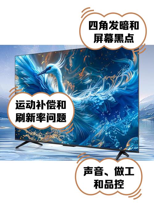雷鸟鹤 6 Pro:量子点 Pro 技术还原真实色彩吗?