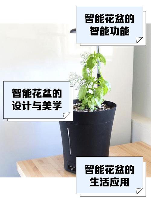 智能花盆：植物杀手救星？
