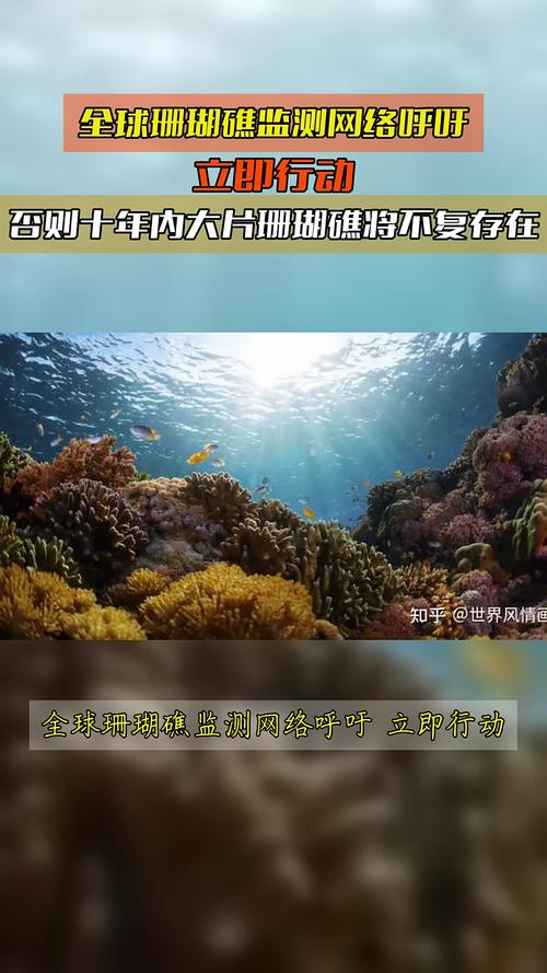 大数据分析海洋生态：监测珊瑚礁、鱼类种群，生态保护更科学​